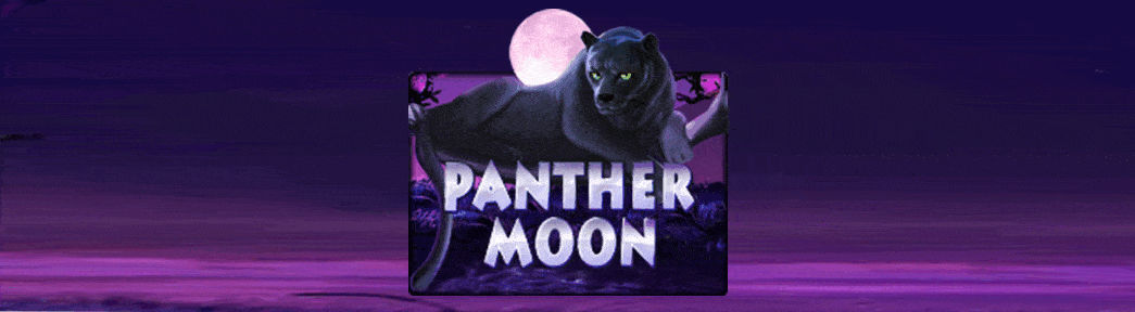 cover-gamePanther-Moon